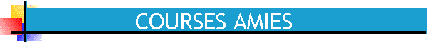 COURSES AMIES